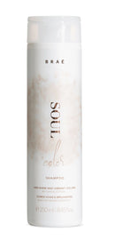 BRAE SOUL COLOR SHAMPOO 250ML